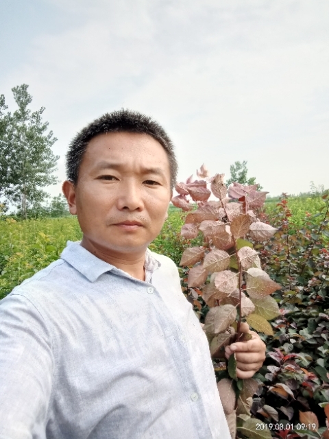 孩子爸的第一张照片--长汀交友网